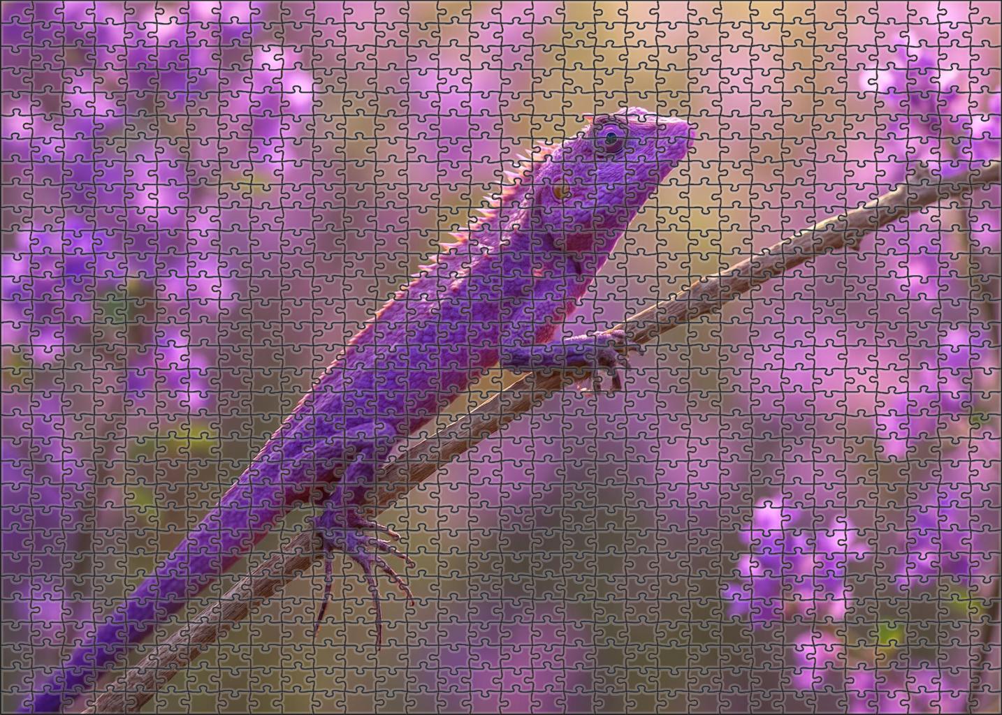 Violet Spine Anole 300 Piece Puzzle