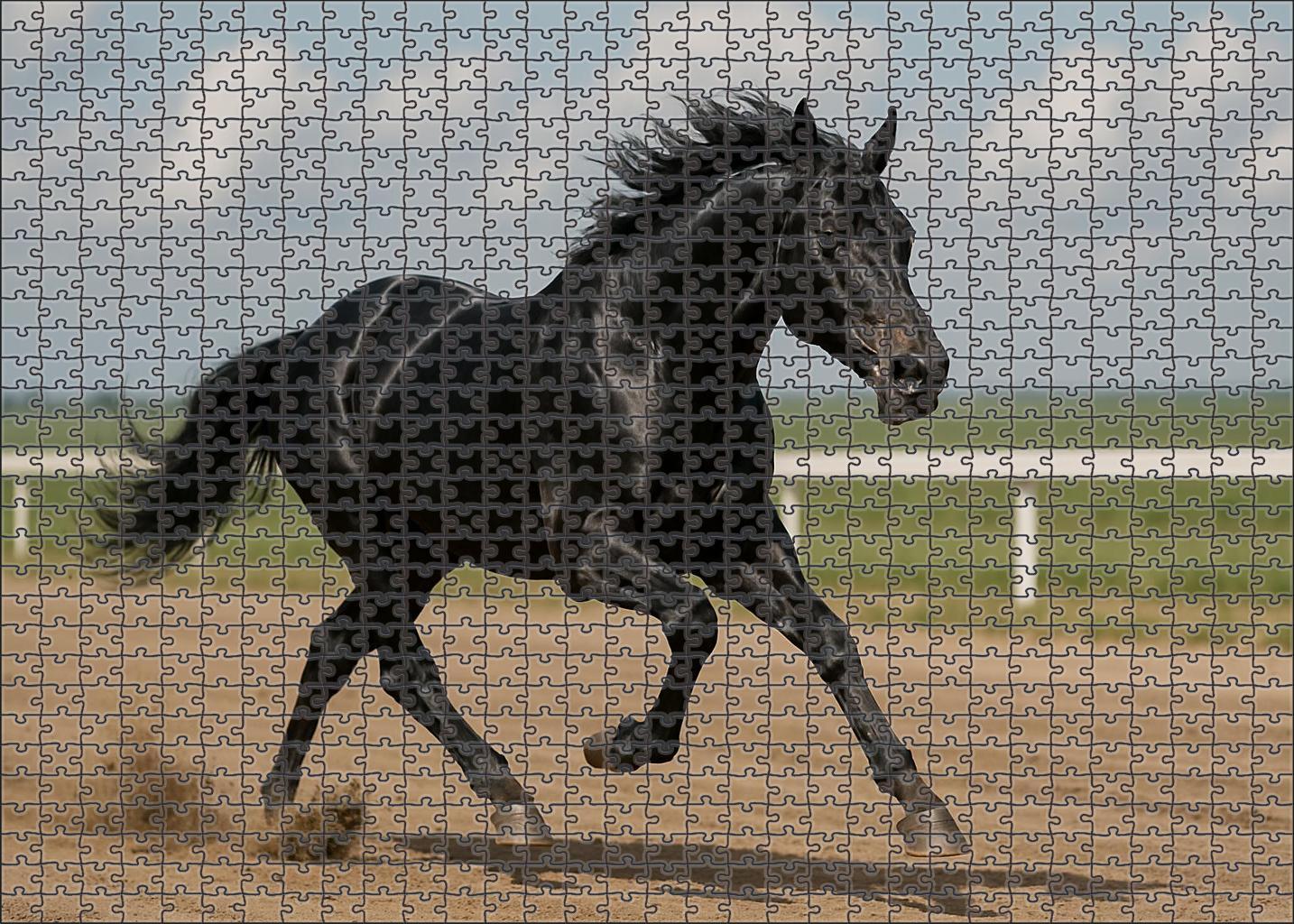 Steel Midnight Racer Sleek Black Thoroughbred With Sharpened Focus Custom Jigsaw Puzzle