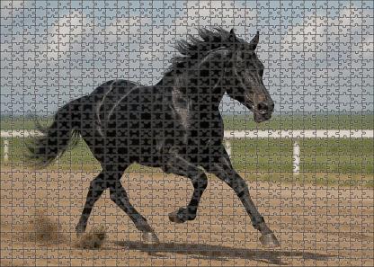 Steel Midnight Racer Sleek Black Thoroughbred With Sharpened Focus Custom Jigsaw Puzzle
