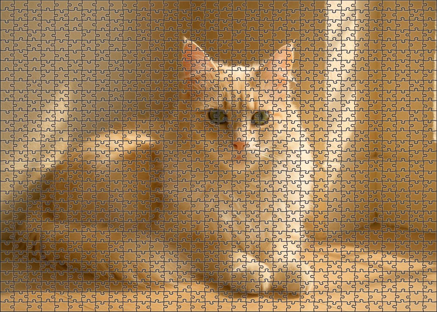 Opal Glow 50 Piece Puzzle