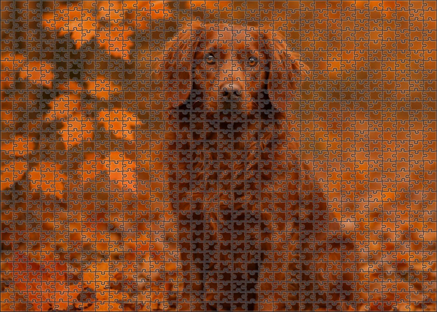 Chestnut Ripple 20 Piece Puzzle