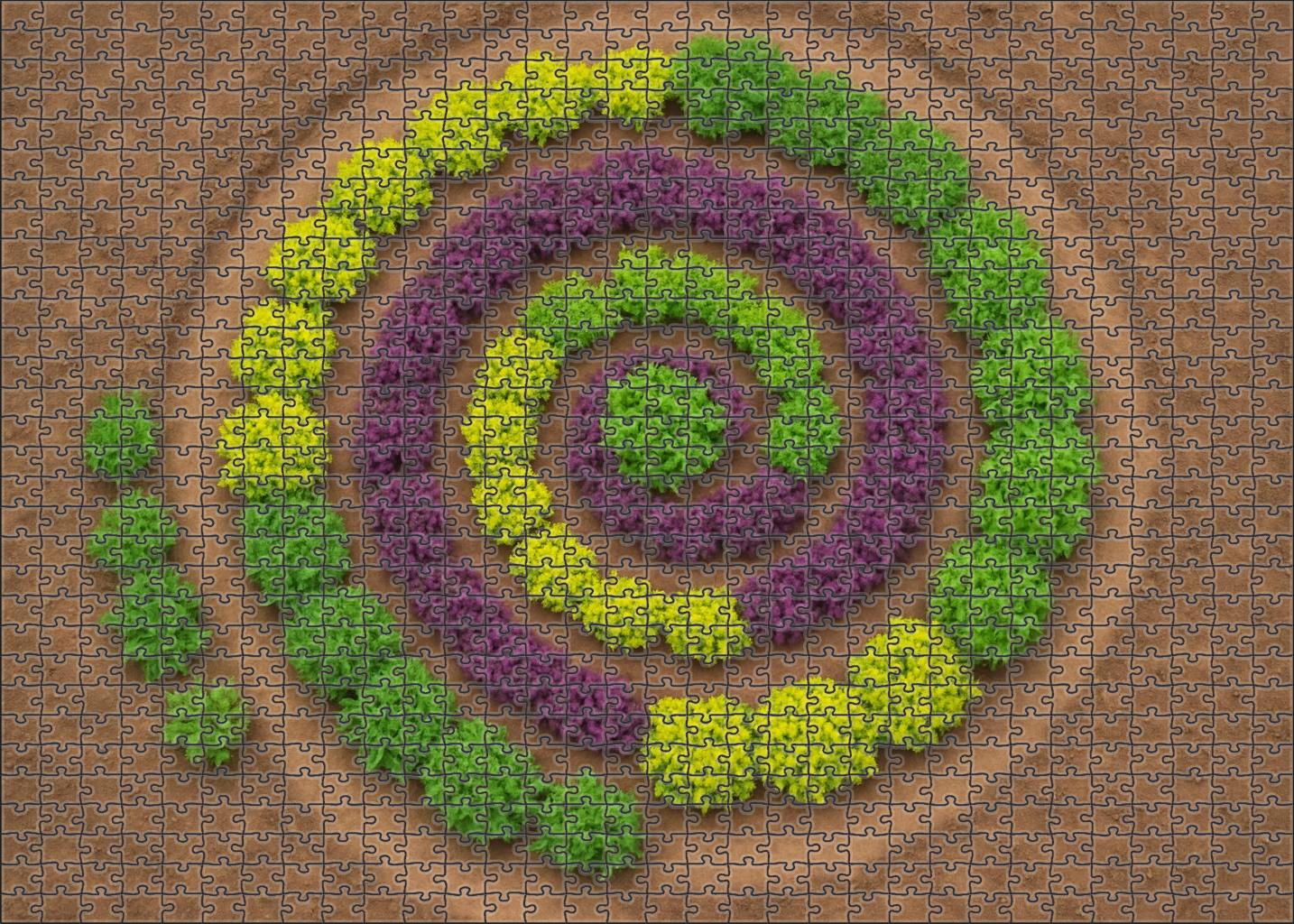 Wild Herb Spiral Garden Challenging Puzzles