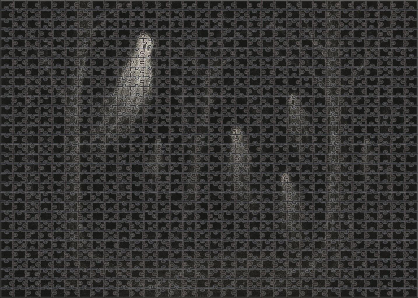 Mystical Forest Spirits Ethereal White Charcoal On Black Paper Puzzle Challenge