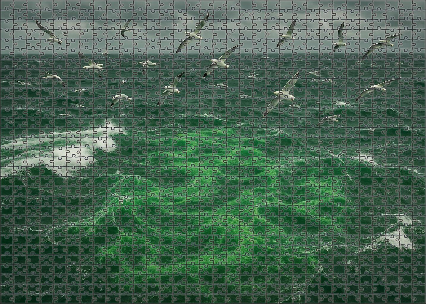 Emerald Upwelling Front Nutrient-rich Waters Sparking Plankton Bloom 50 Piece Puzzle