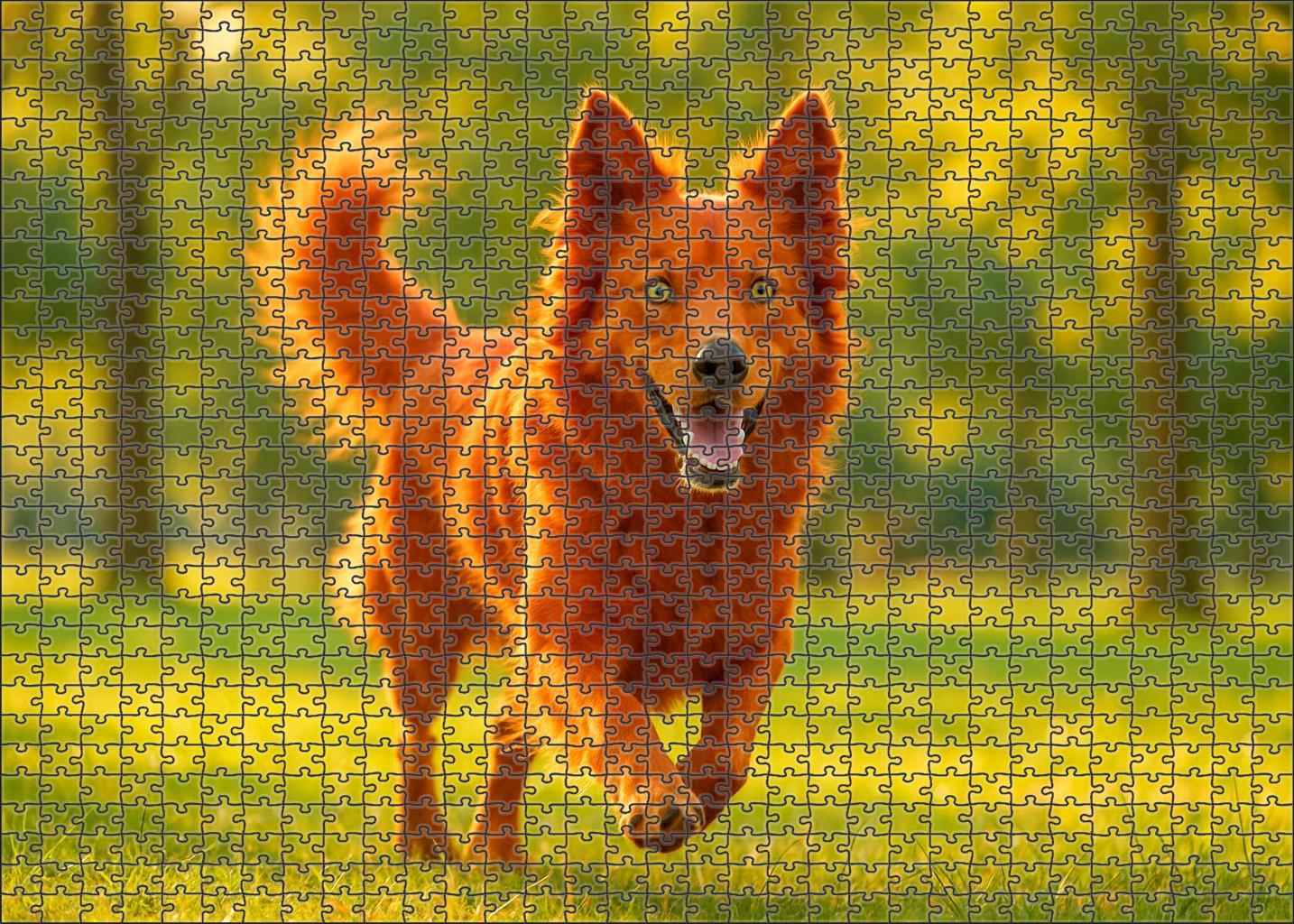 Copper Flame 20 Piece Puzzle