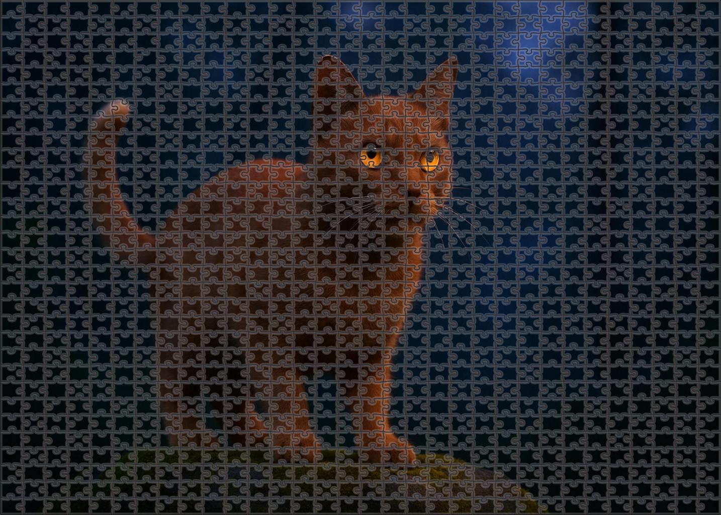 Copper Dusk 50 Piece Puzzle