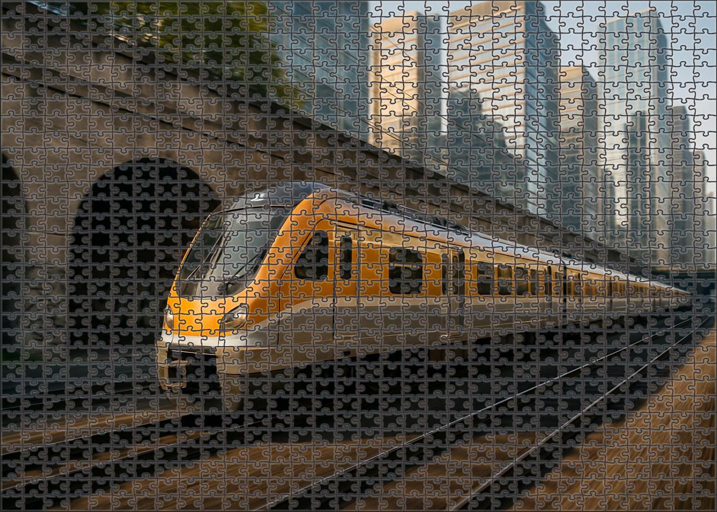 Amber City Commuter Emu Large Format Puzzle