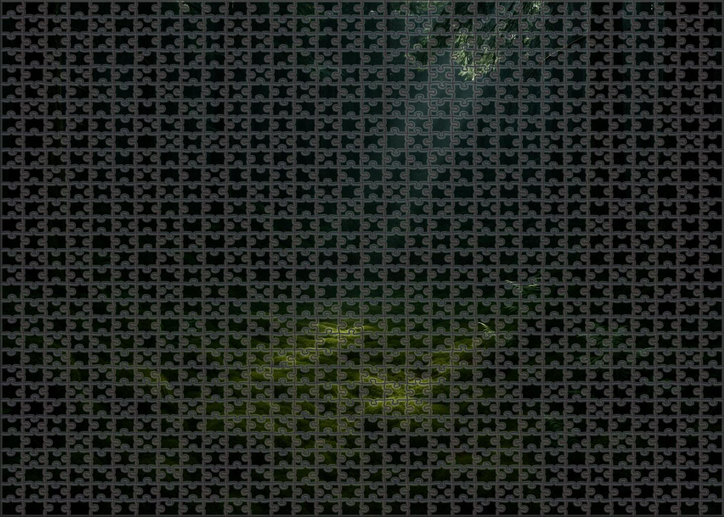 Sunken Mosswood Basin 500 Piece Puzzle