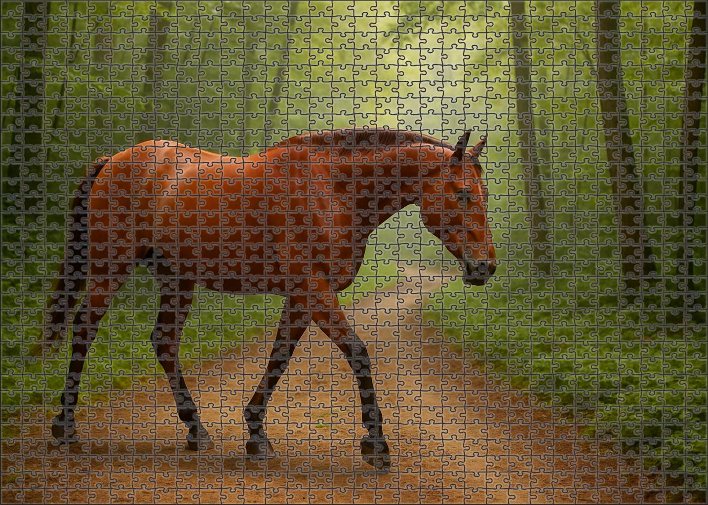 Copper Dawn Tennessee Walker Challenging Puzzles