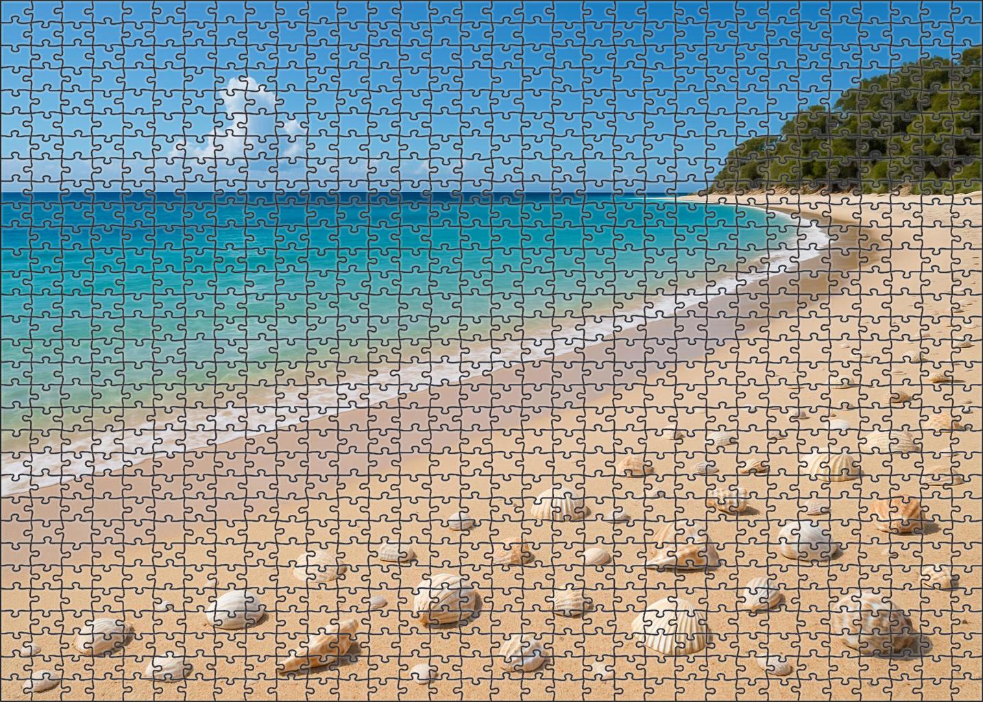 Seashell Crescent Beach Puzzle Fun