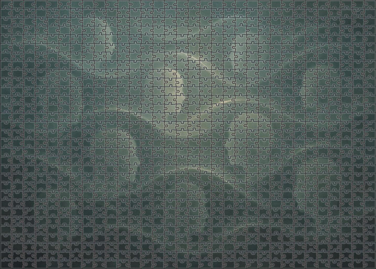 Chronicles Of The Forgotten Echo Family Puzzles