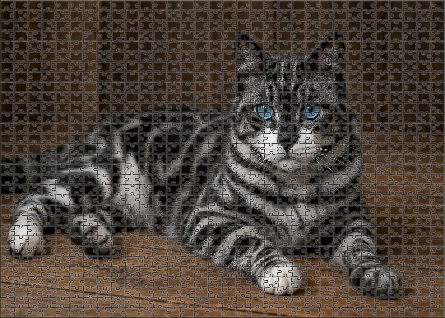 Mystic Marble 50 Piece Puzzle