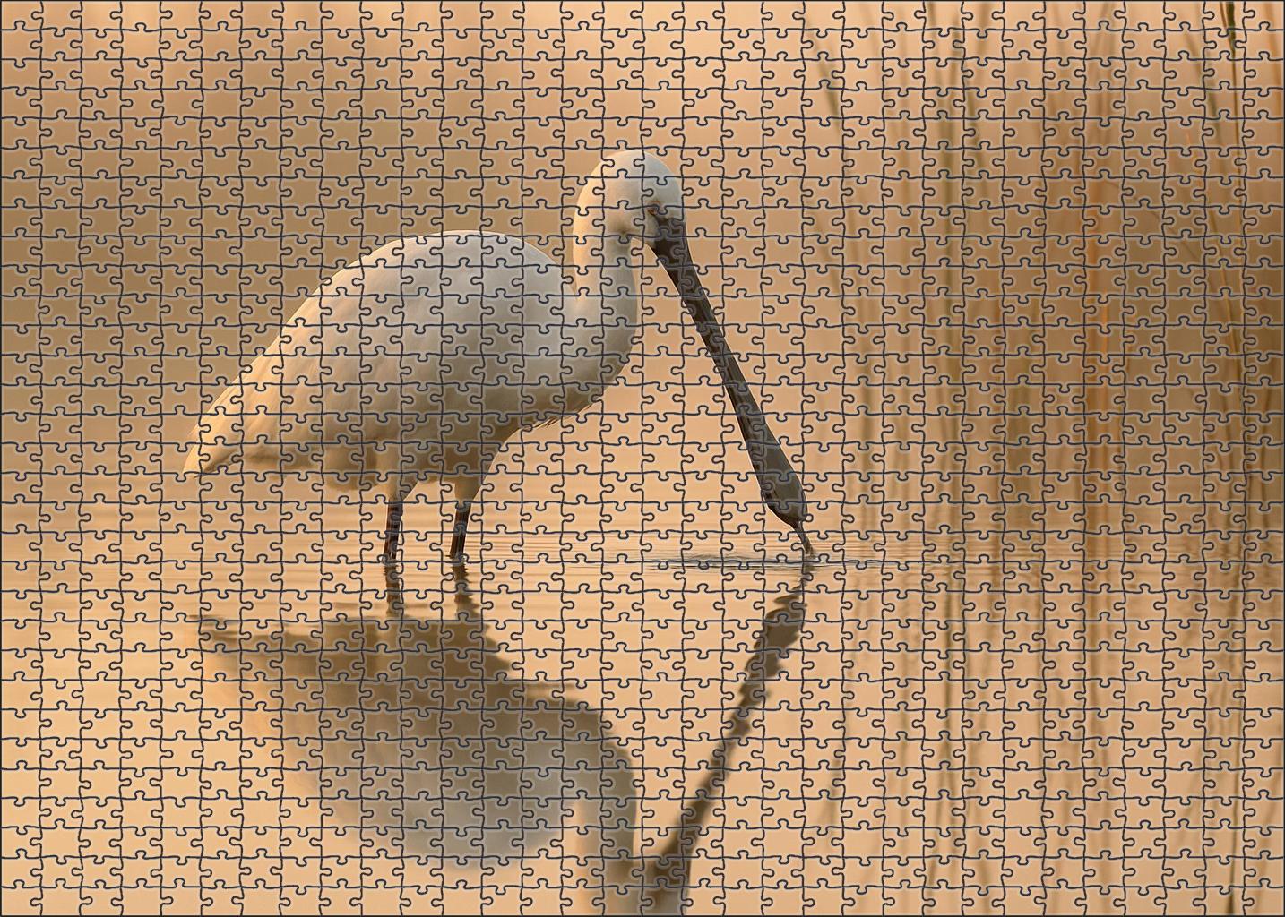 Spoonbill The Elegant Marsh Dancer Large Format Puzzle