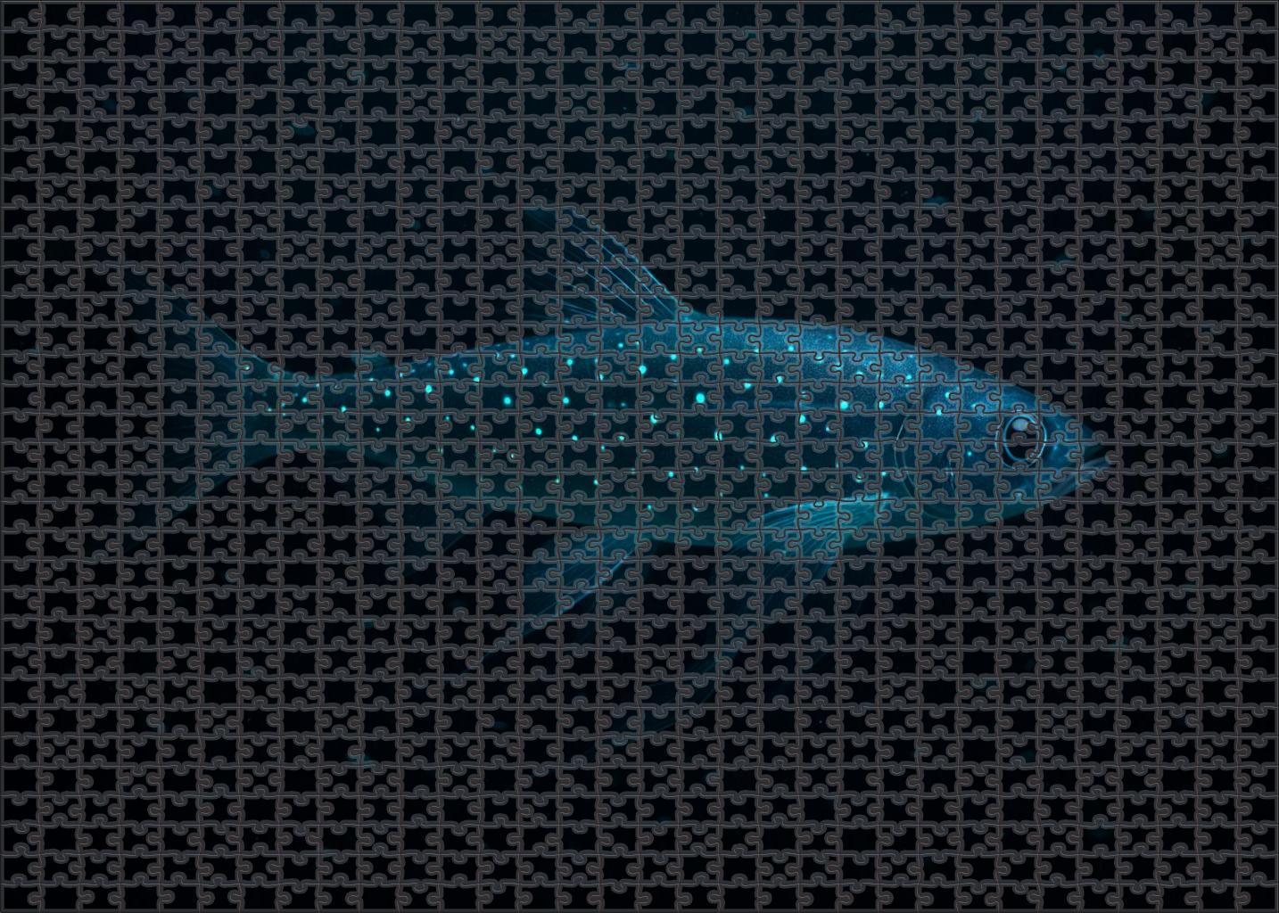 Twilight Glowfish Shimmering Midwater Luminary 1000 Piece Puzzle