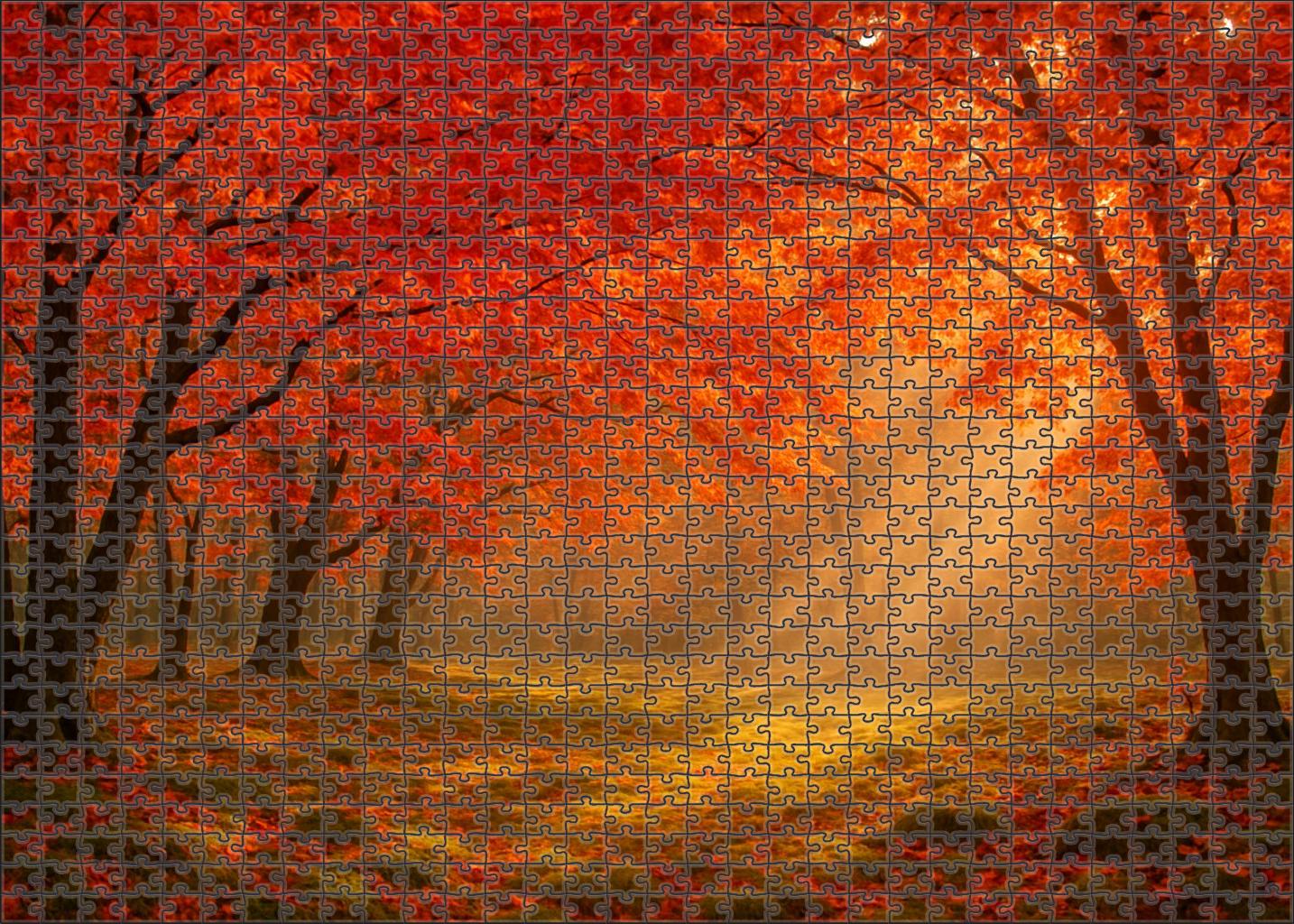 Crimson Leafed Dell 300 Piece Puzzle