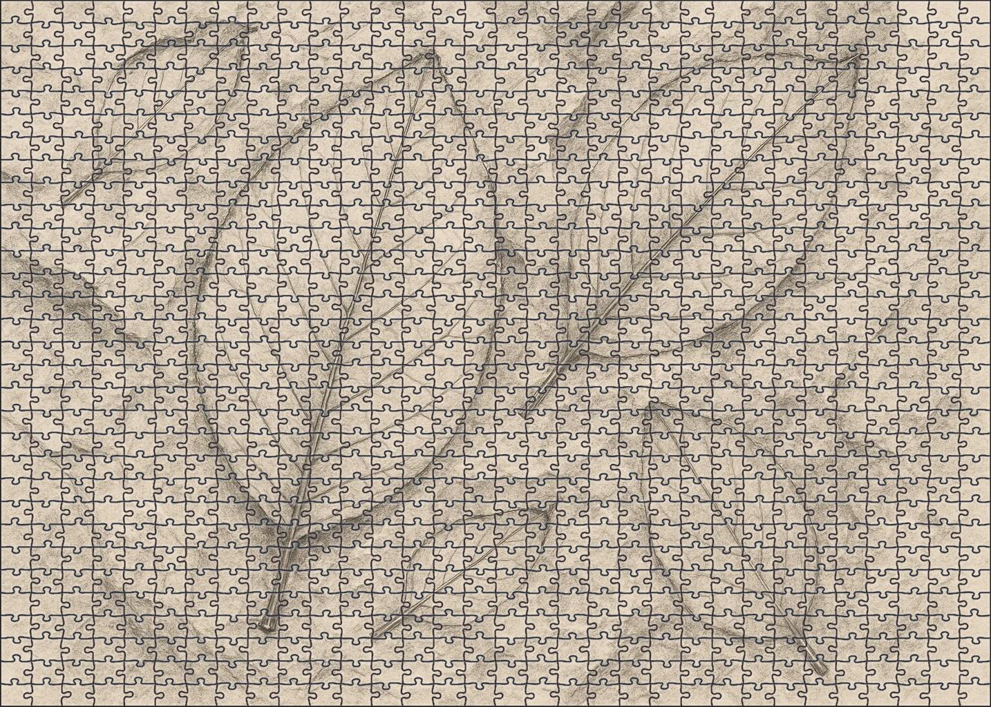 Fossil Imprint Study Graphite And Ink Wash Textural Contrast Puzzle Challenge