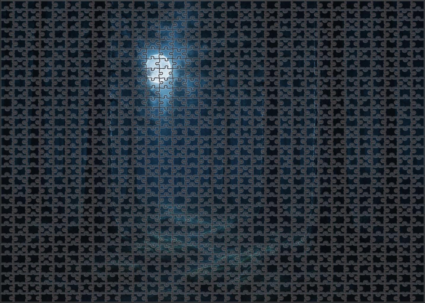 Moonlit Pine Hollow Unique Puzzle Design