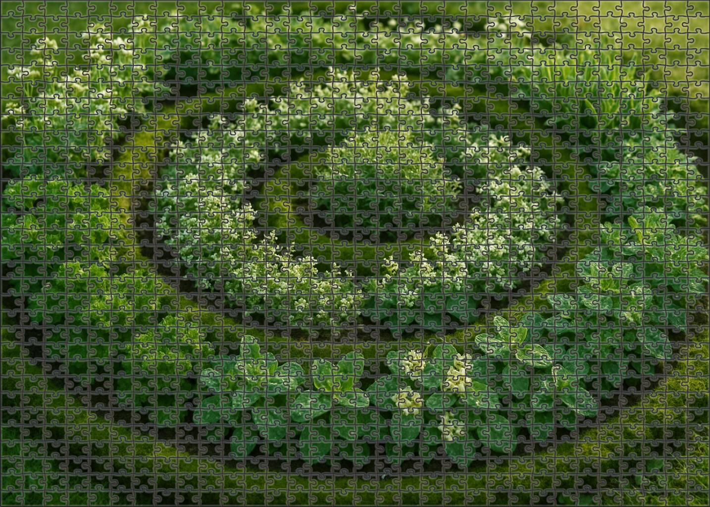 Spring Dew Herb Spiral Puzzle For Adults