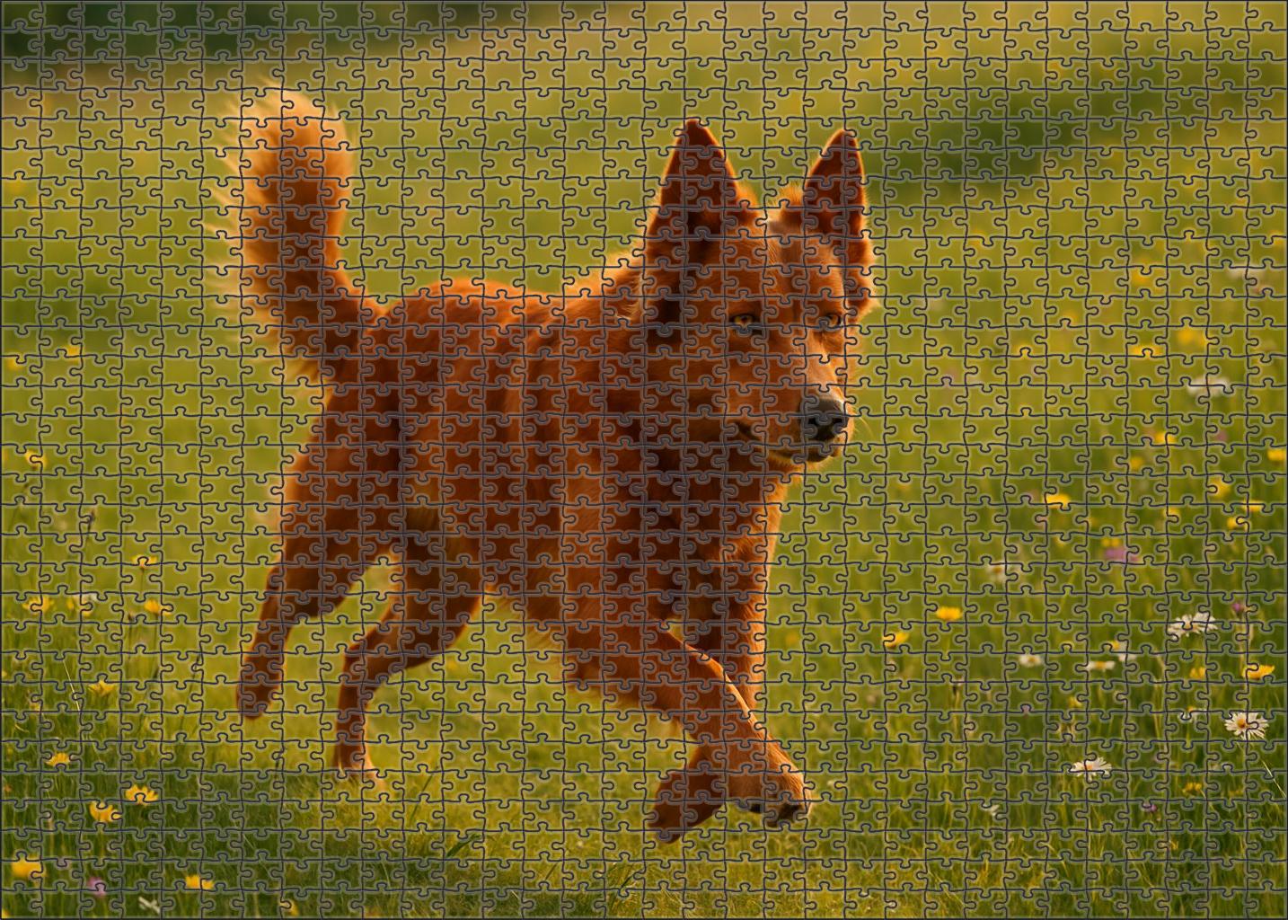 Copper Ember Radiant Red-orange Herding Dog With Spirited Intelligence 200 Piece Puzzle