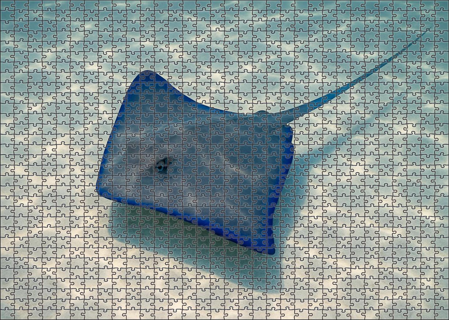 Cerulean Glider Ray Sleek Filter-feeding Marvel 200 Piece Puzzle