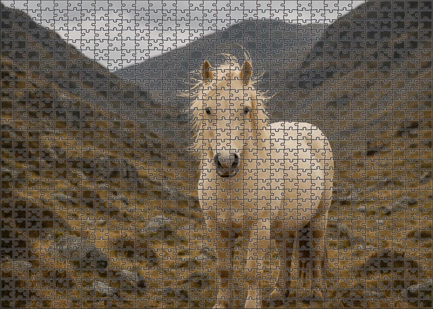 Ivory Dawn Trailblazer Pale Cream Connemara Pony With Steadfast Heart Custom Jigsaw Puzzle