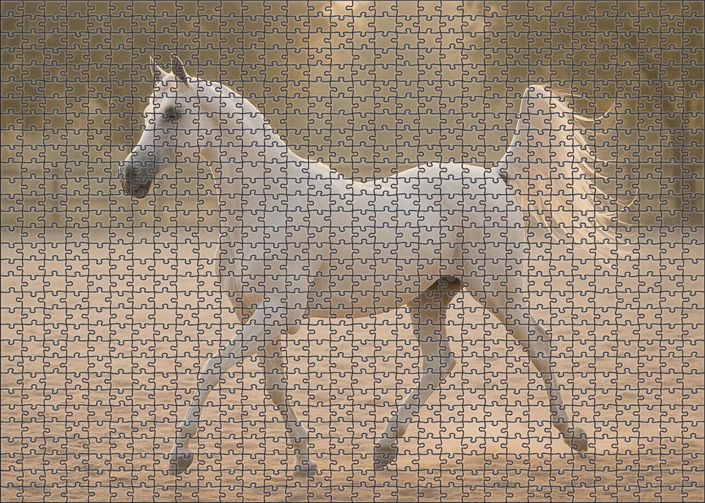 Snowfall Whisper Delicate White Arabian Mare With Fluid Movements 500 Piece Puzzle