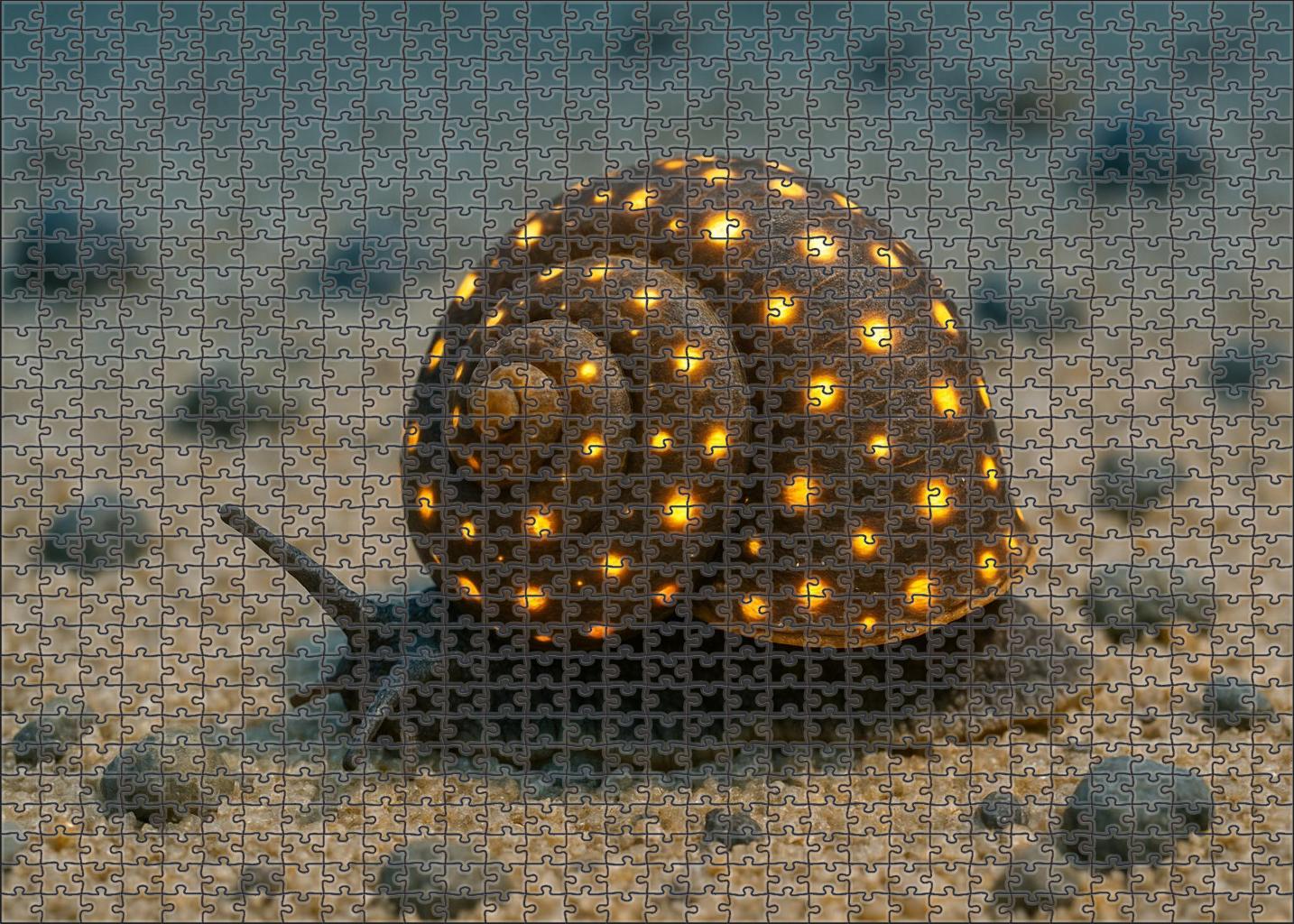 Golden Spotted Whelk Slow-moving Shell Dweller Challenging Puzzles