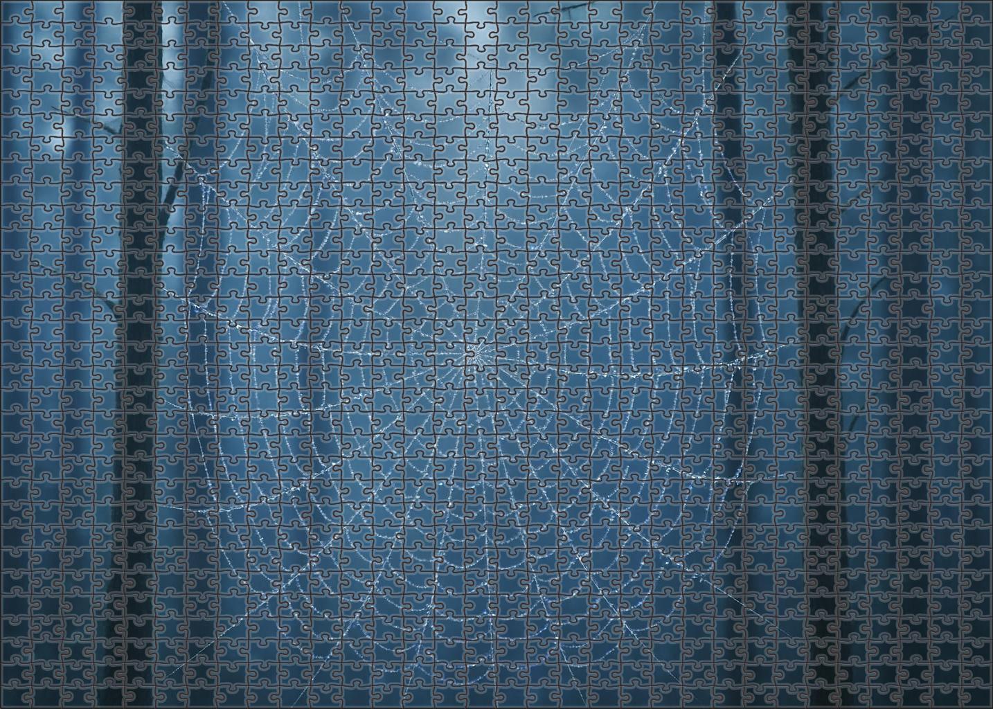 The Gossamer Web Market 200 Piece Puzzle