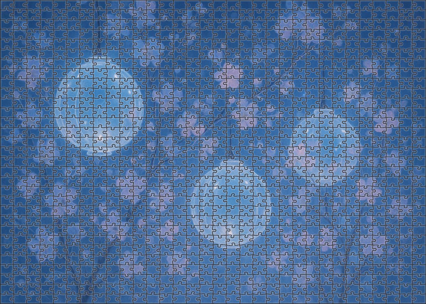 Bubble Lantern Garden 300 Piece Puzzle