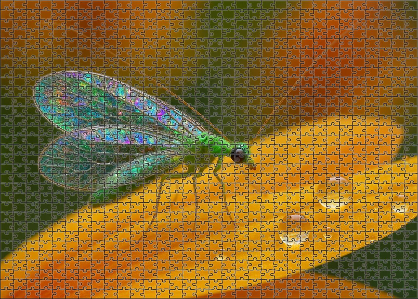 Silverleaf Seraph Delicate Insect With Translucent Wings And Intricate Markings Premium Puzzle Pieces