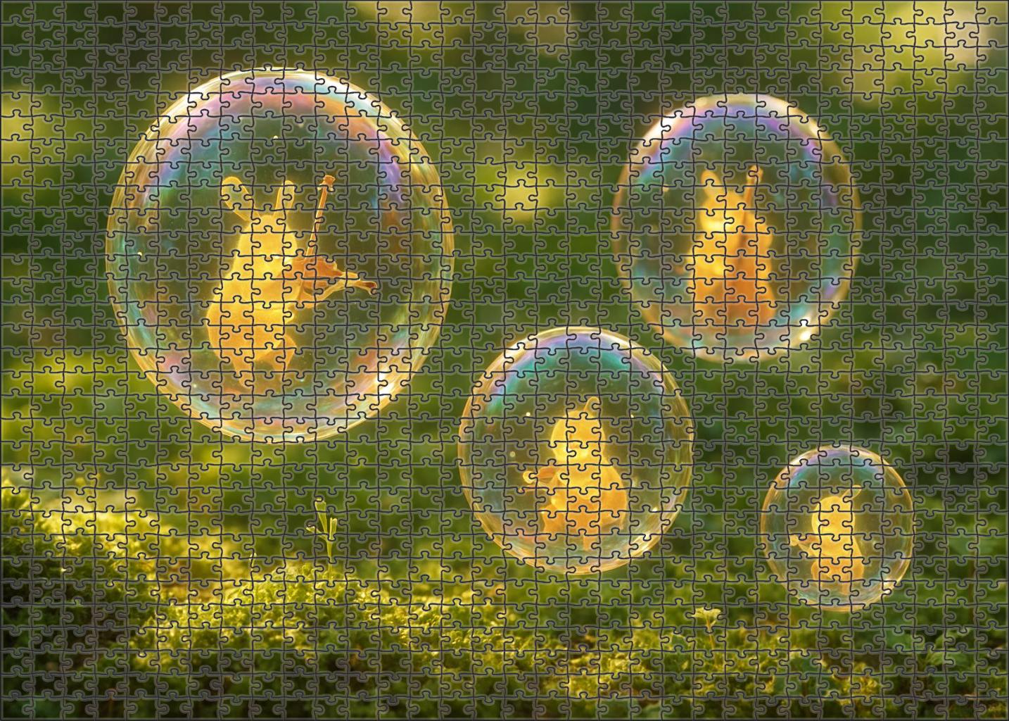 Bubble Symphony On The Forest Floor 500 Piece Puzzle