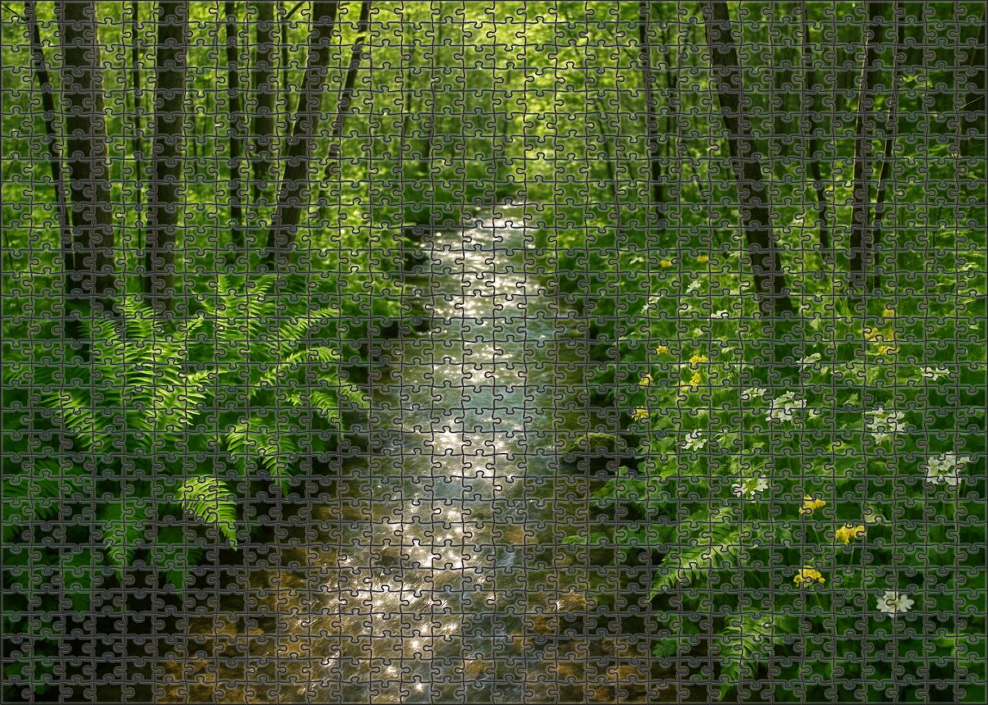 Crystal Stream Thicket Easy Puzzles