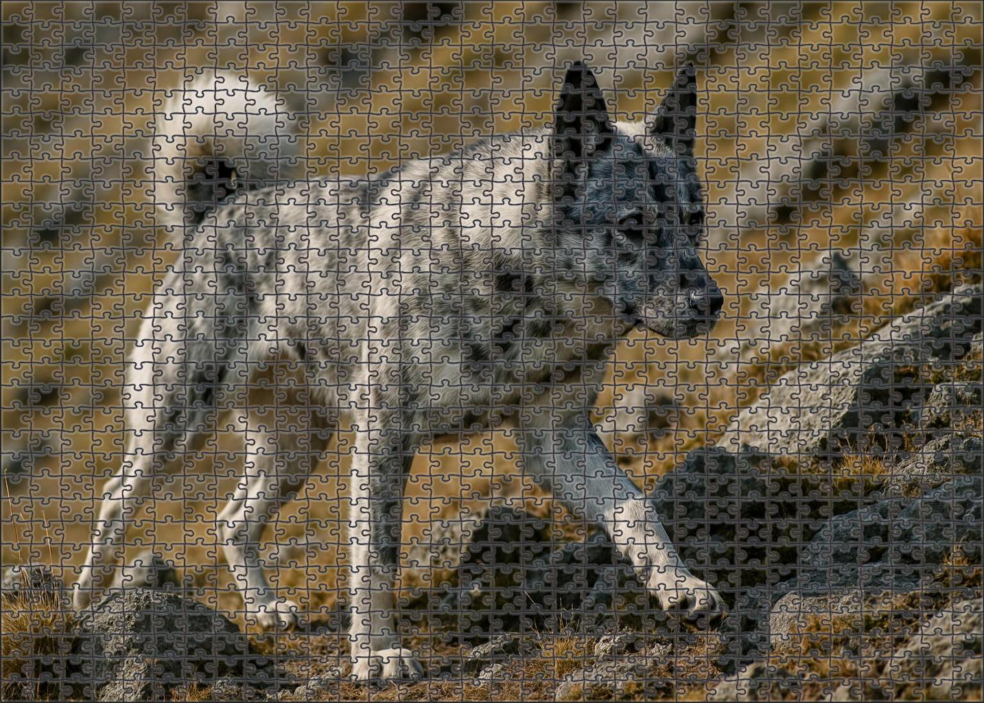 Storm Marble Large Format Puzzle