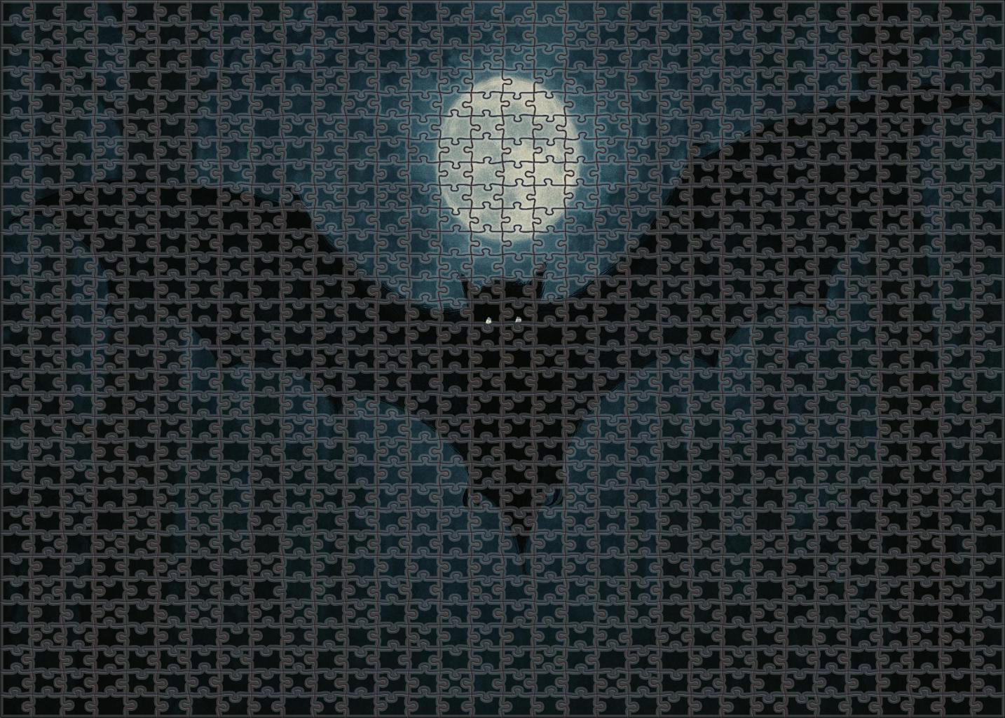 Obsidian Glider 300 Piece Puzzle