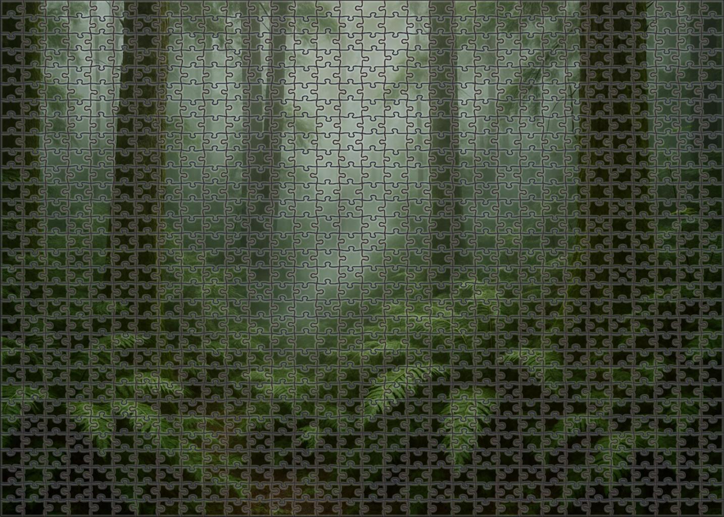 Mistbound Valley Wood 1000 Piece Puzzle