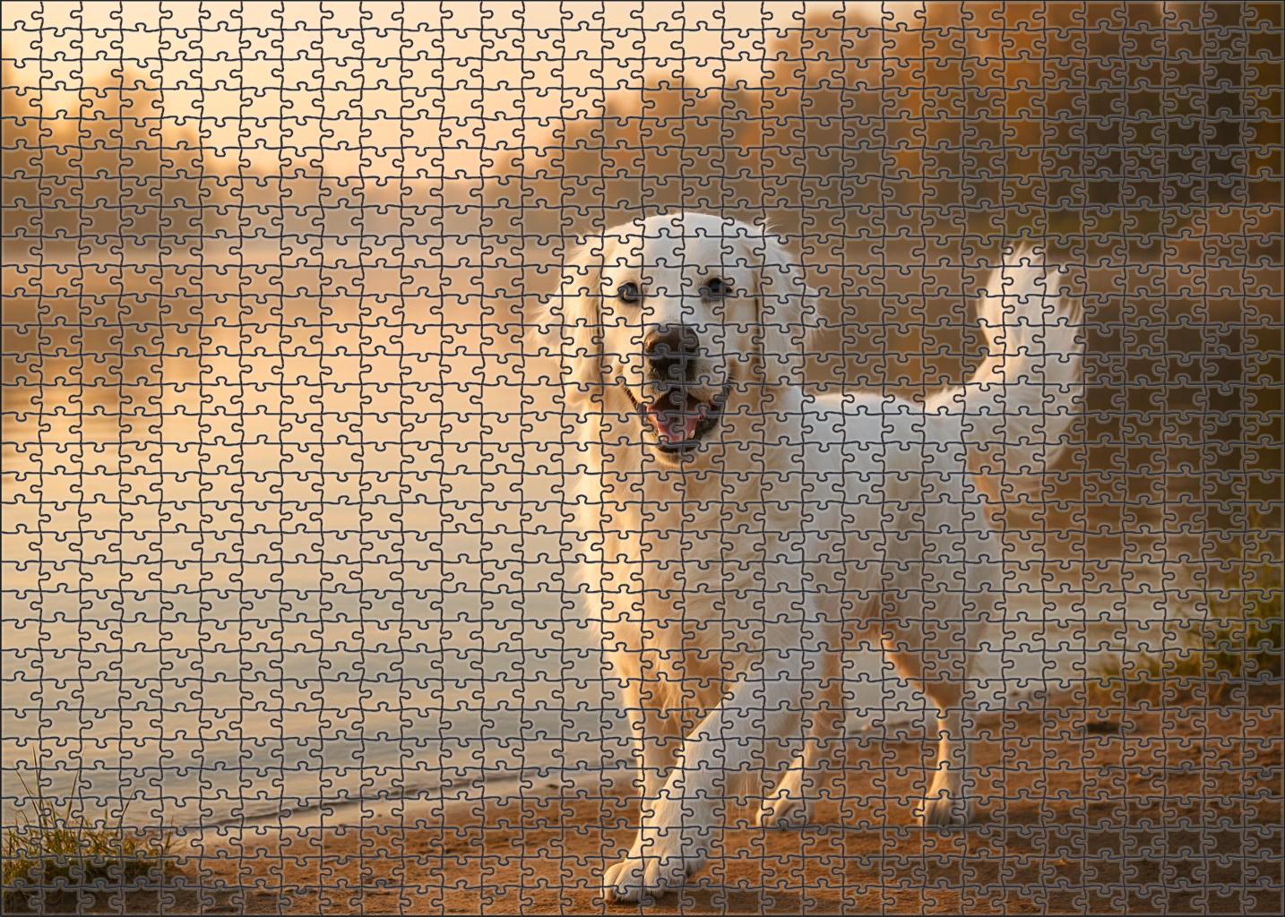 Pearl Glow Pristine White Retriever With Flowing Feathered Coat 200 Piece Puzzle