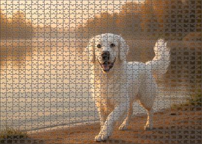 Pearl Glow Pristine White Retriever With Flowing Feathered Coat 200 Piece Puzzle