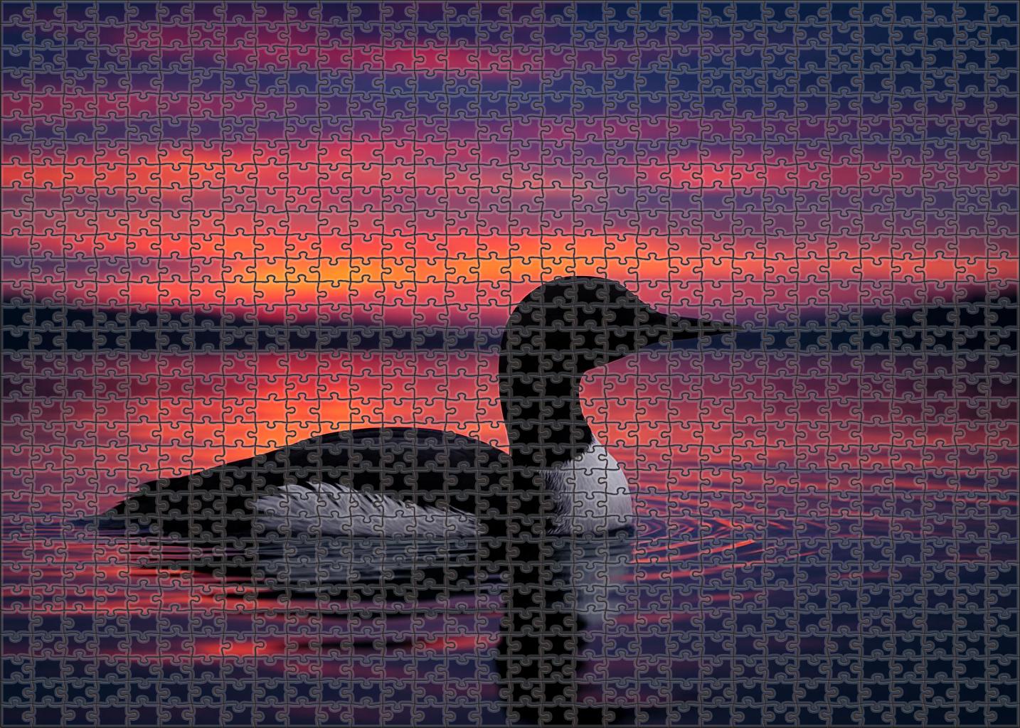 Pacific Loon Deep-water Diver Extraordinaire Large Format Puzzle