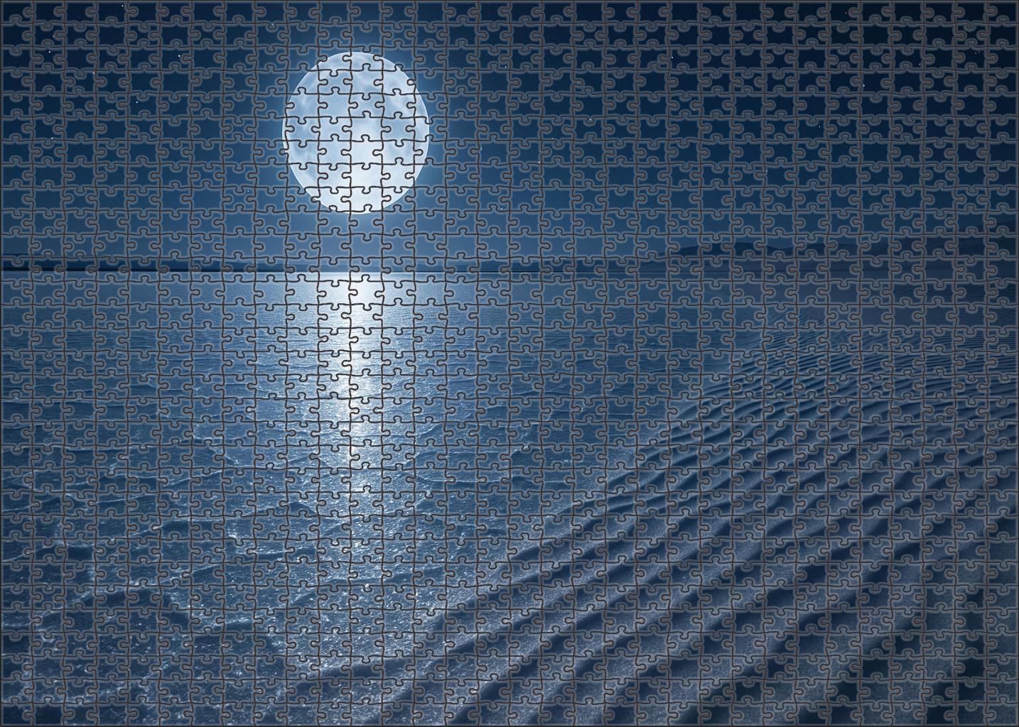 Moonlit Silver Flats Salt Crust And Whispering Sand Ripples Large Format Puzzle