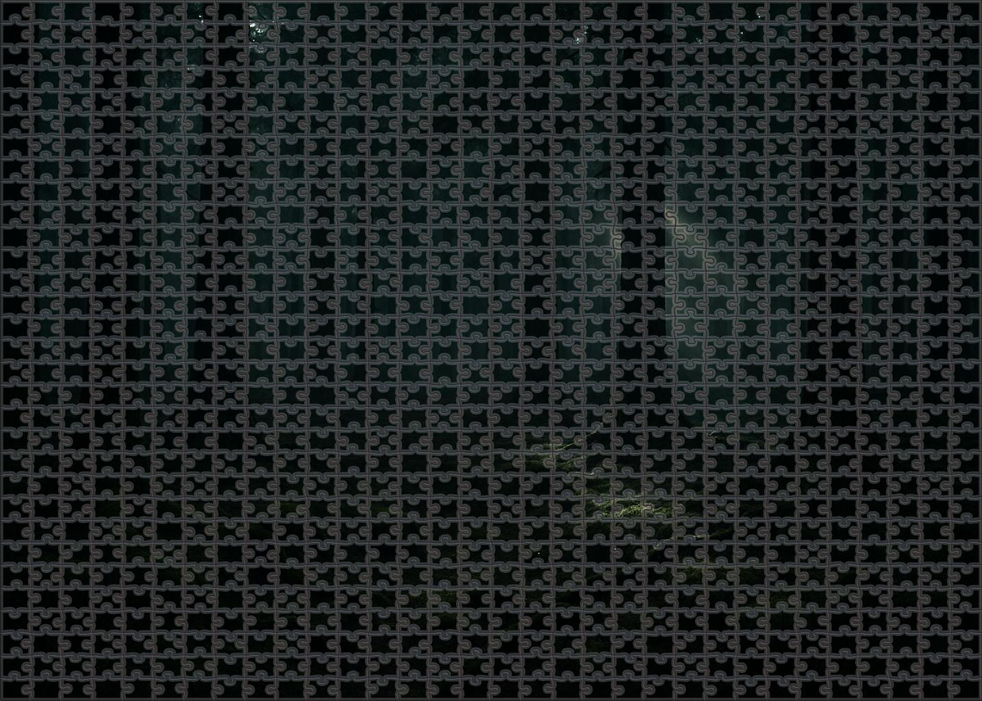 Ebony Grove Veil Challenging Puzzles