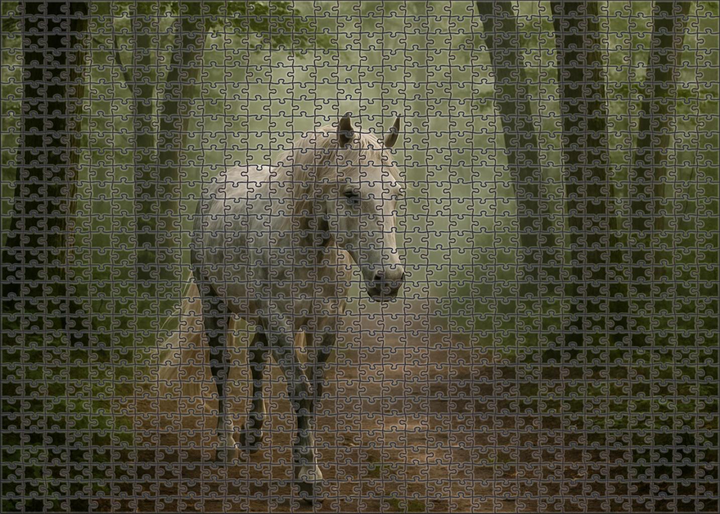 Pearl Frost Gaited Beauty Large Format Puzzle