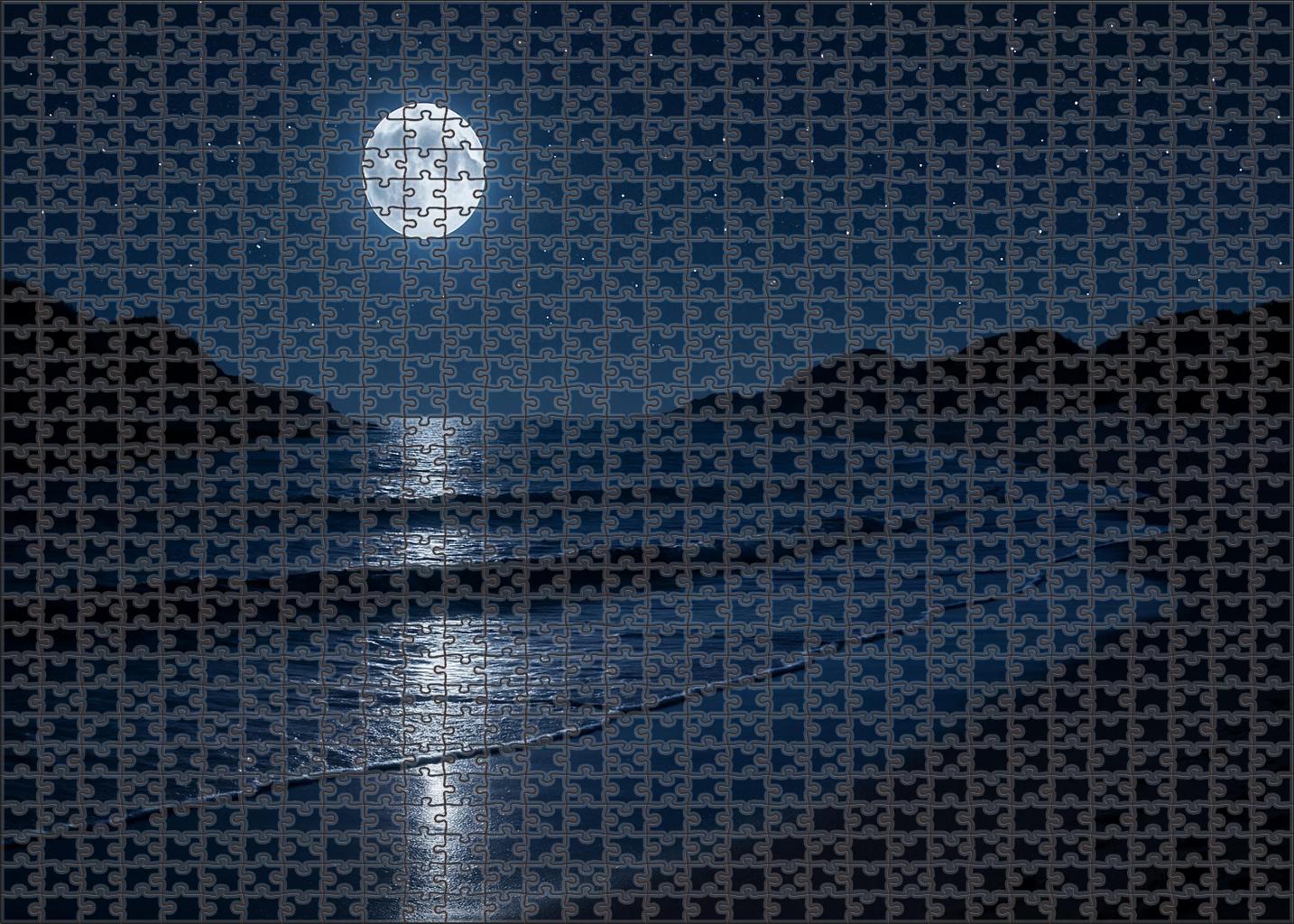 Moonlit Shoreline Trail Puzzle Challenge