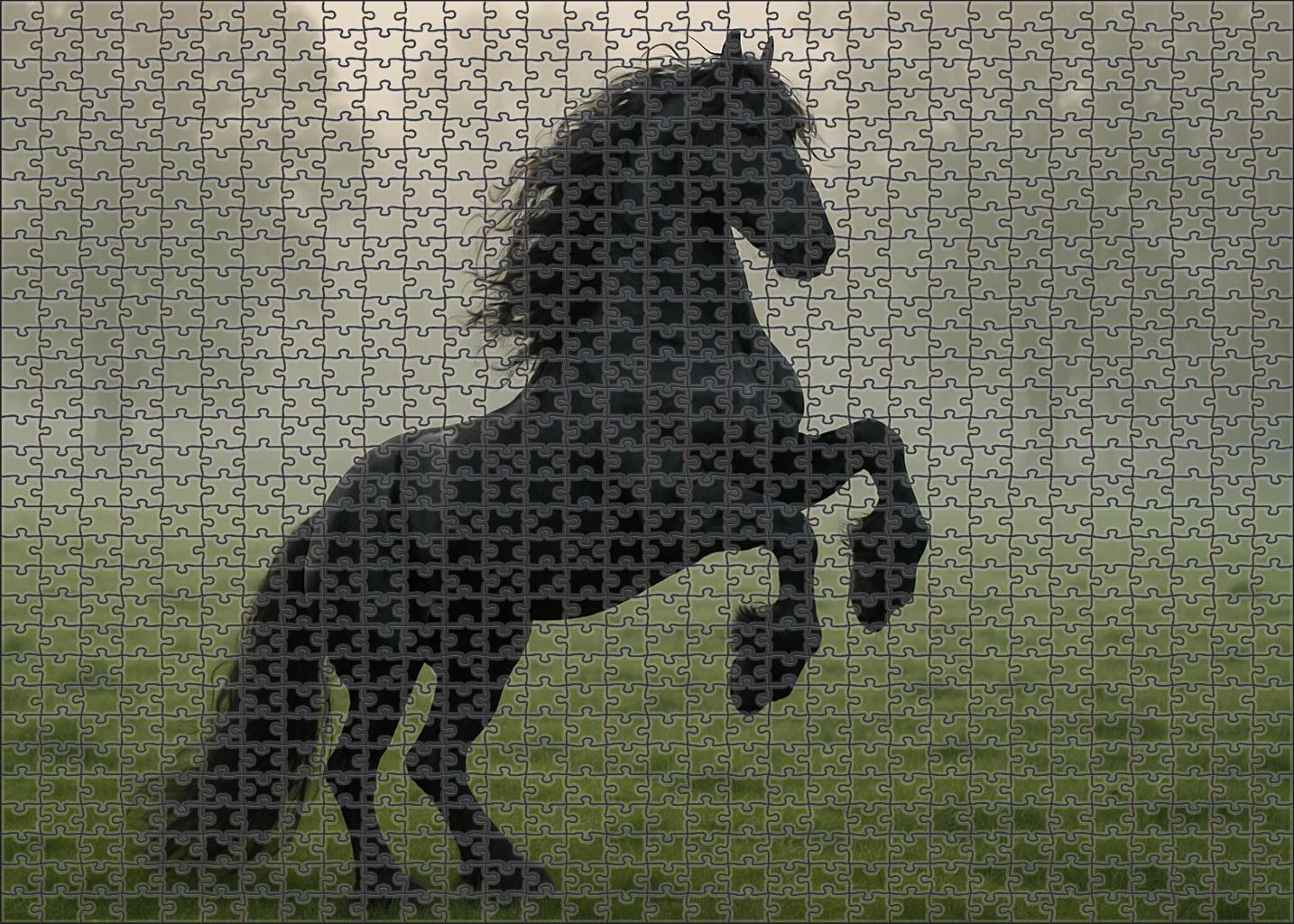 Ebony Thunder Majestic Black Friesian Stallion Challenging Puzzles