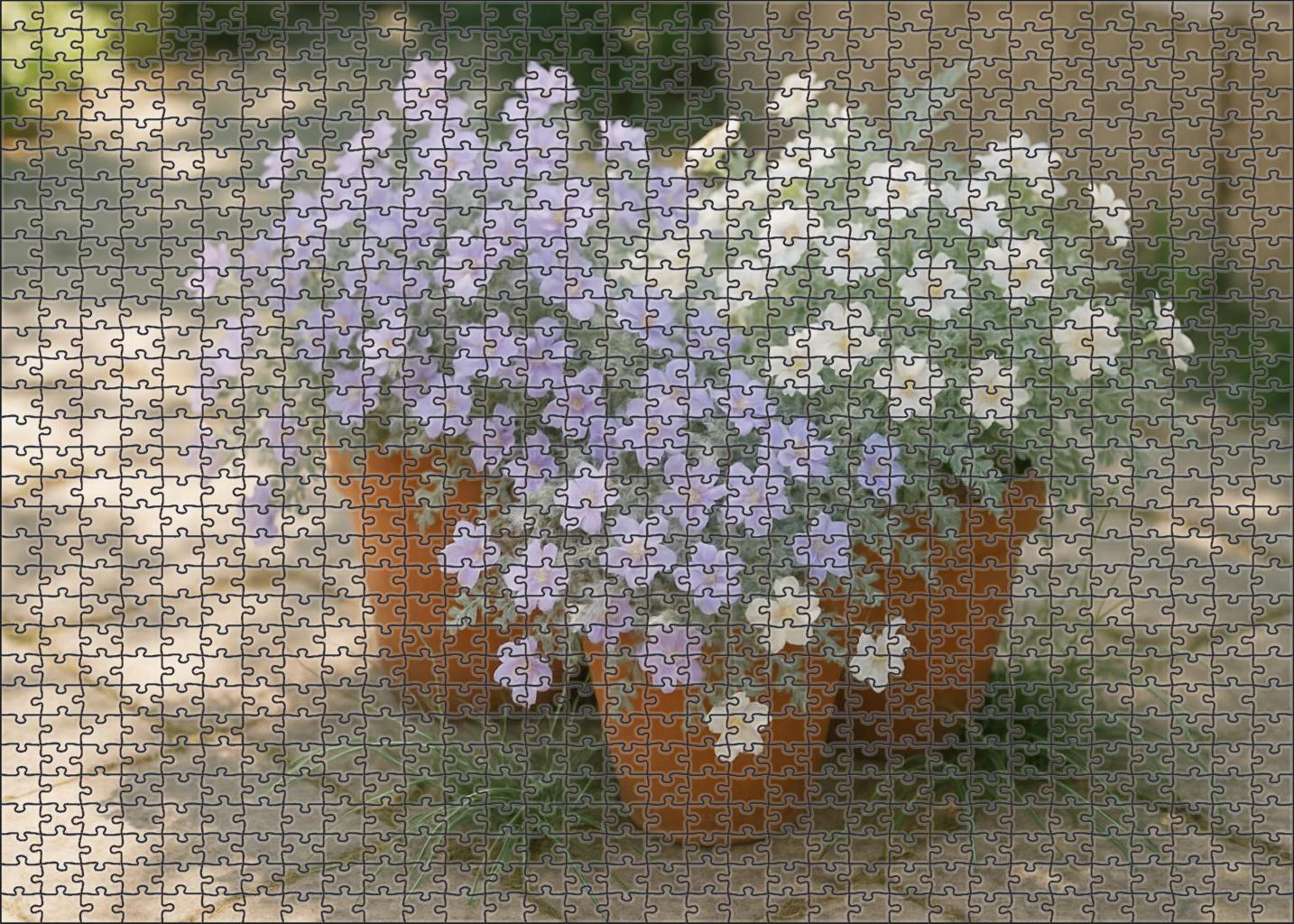 Lavender Dream Terrace Puzzle Collection