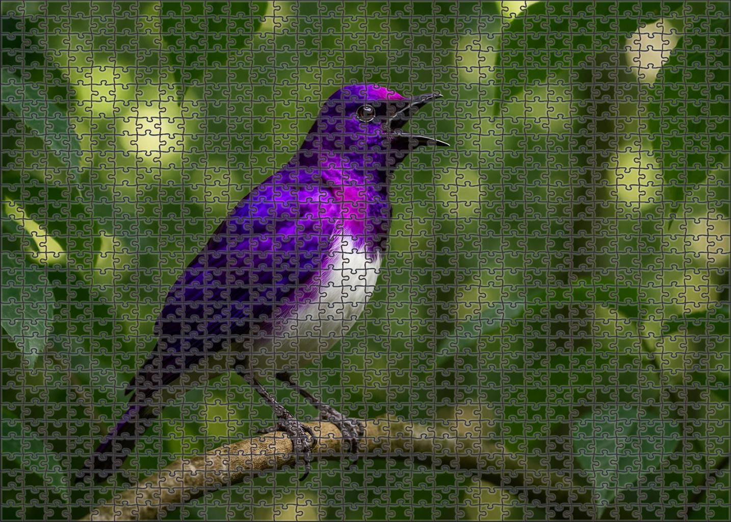 Violet-backed Starling Jewel Of The Forest Canopy Puzzle For Kids