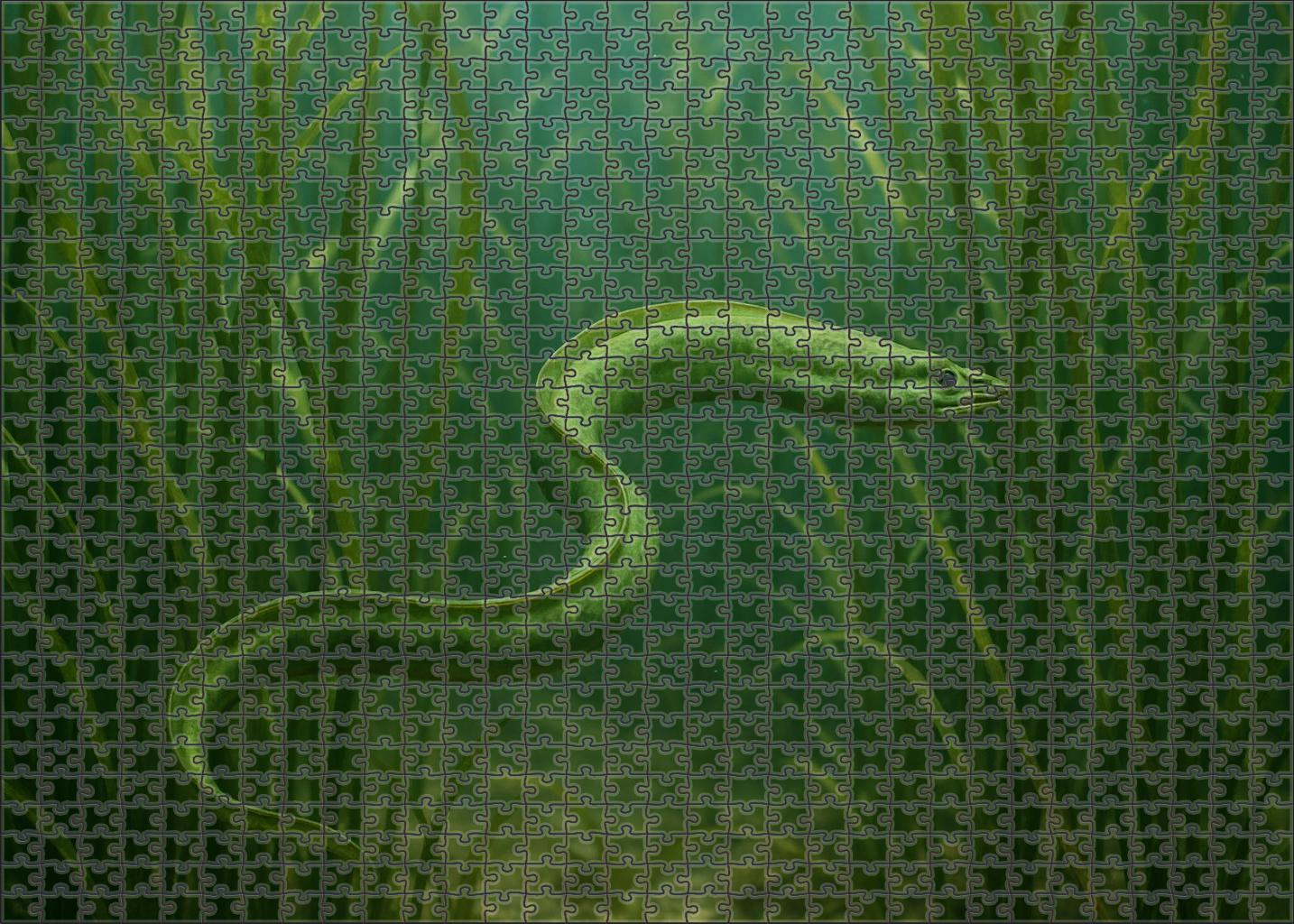 Verdant Kelp Serpent Elongated Eel-like Swimmer With Camouflaged Skin 200 Piece Puzzle