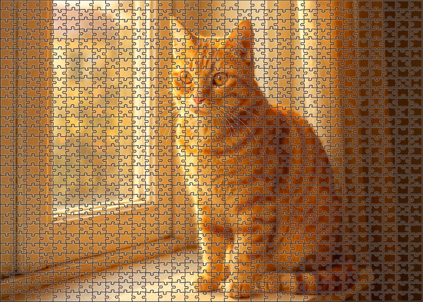 Frosted Topaz Elegant Golden Tabby With Playful Confidence 200 Piece Puzzle