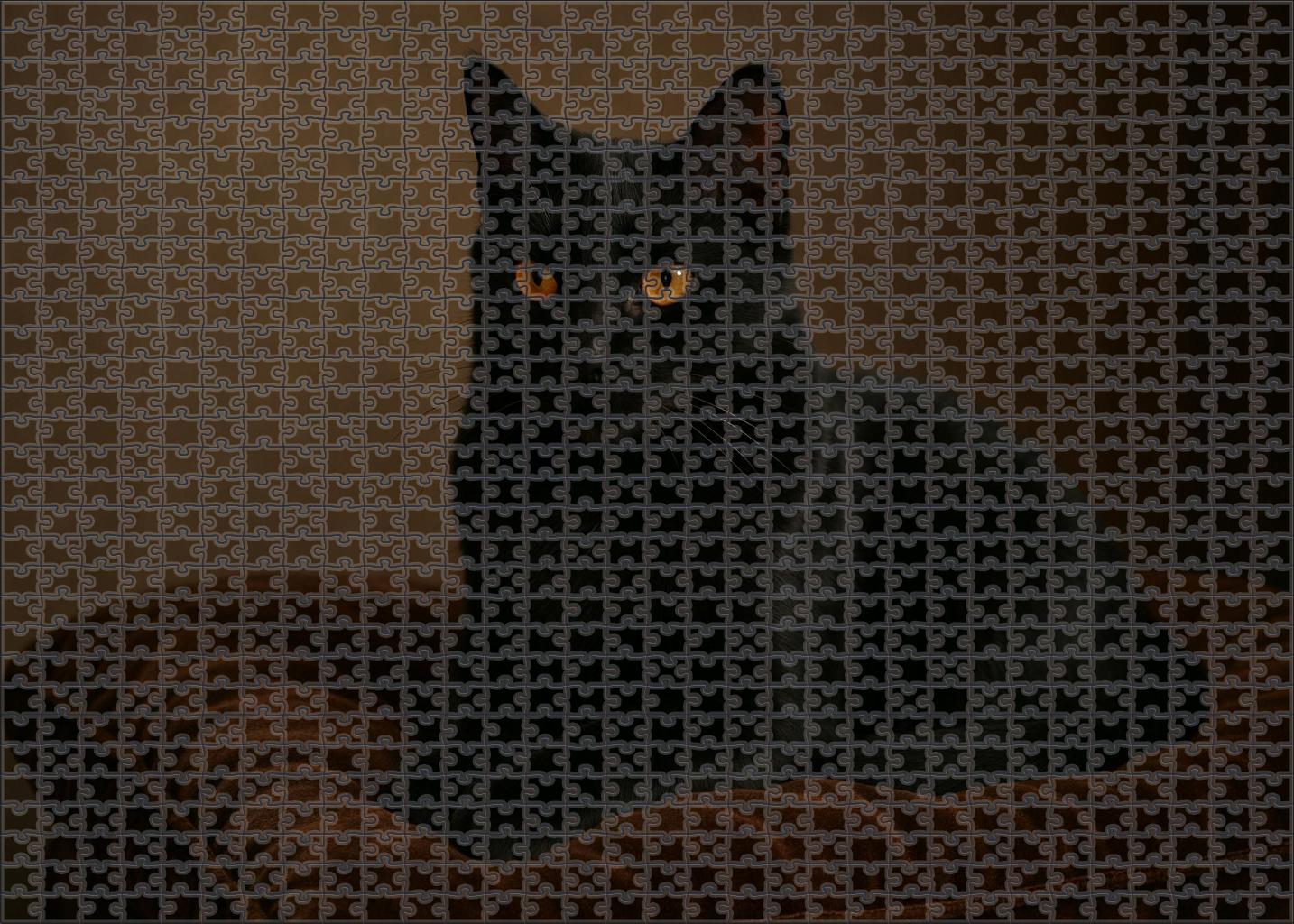 Velvet Noir Plush Black Velvet Coat With Serene Demeanor Unique Puzzle Design