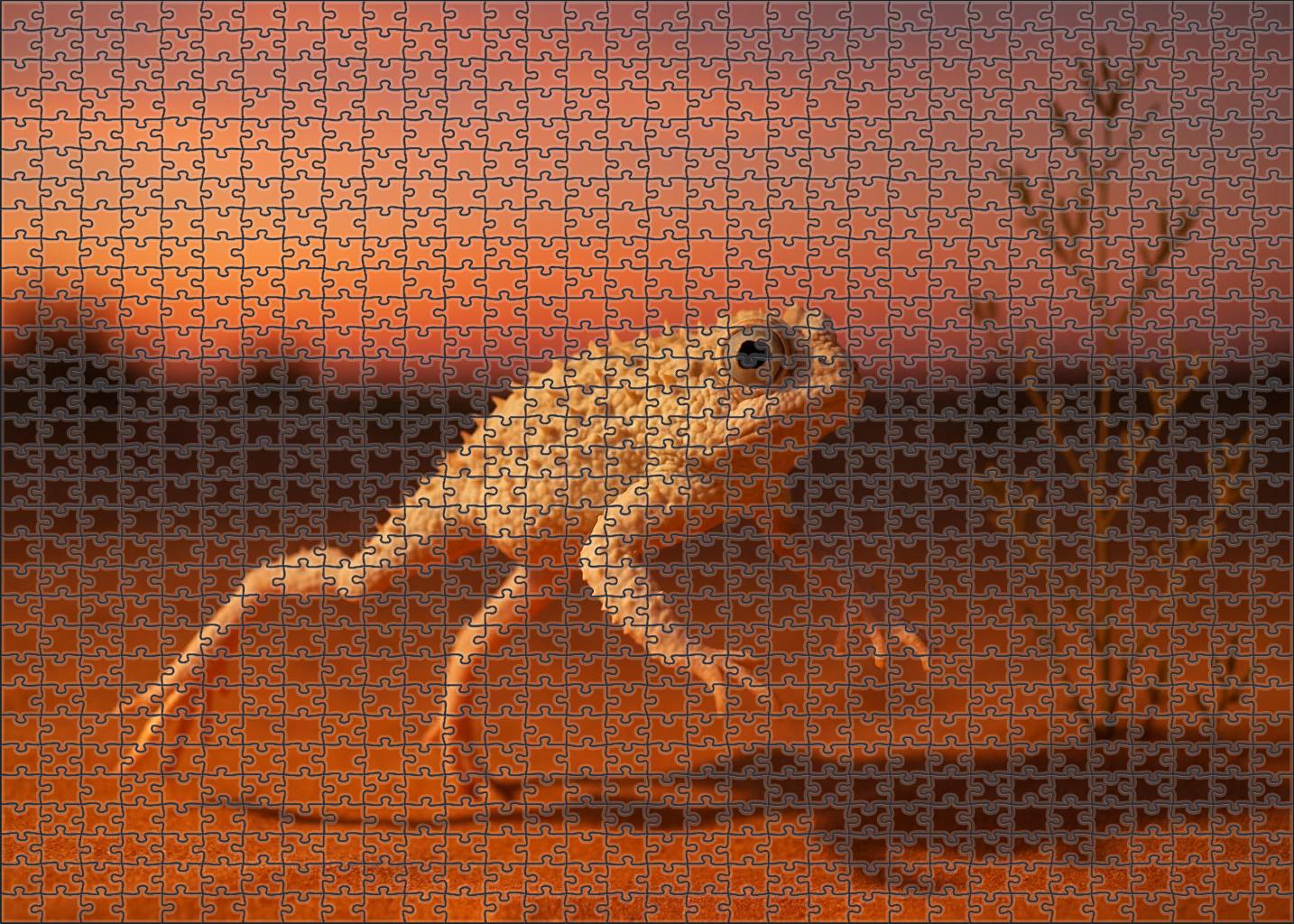 Ivory Spine Hopper Small Desert Amphibian With Resilient White Spines Mini Puzzle