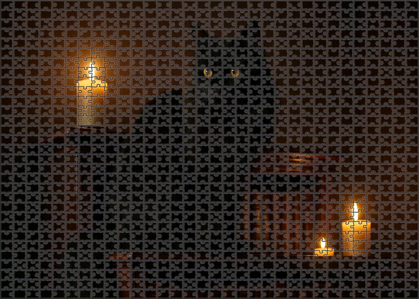 Shadow Lace Silky Black Longhair With Poised Elegance Puzzle Fun